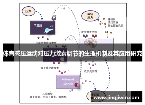 体育减压运动对压力激素调节的生理机制及其应用研究